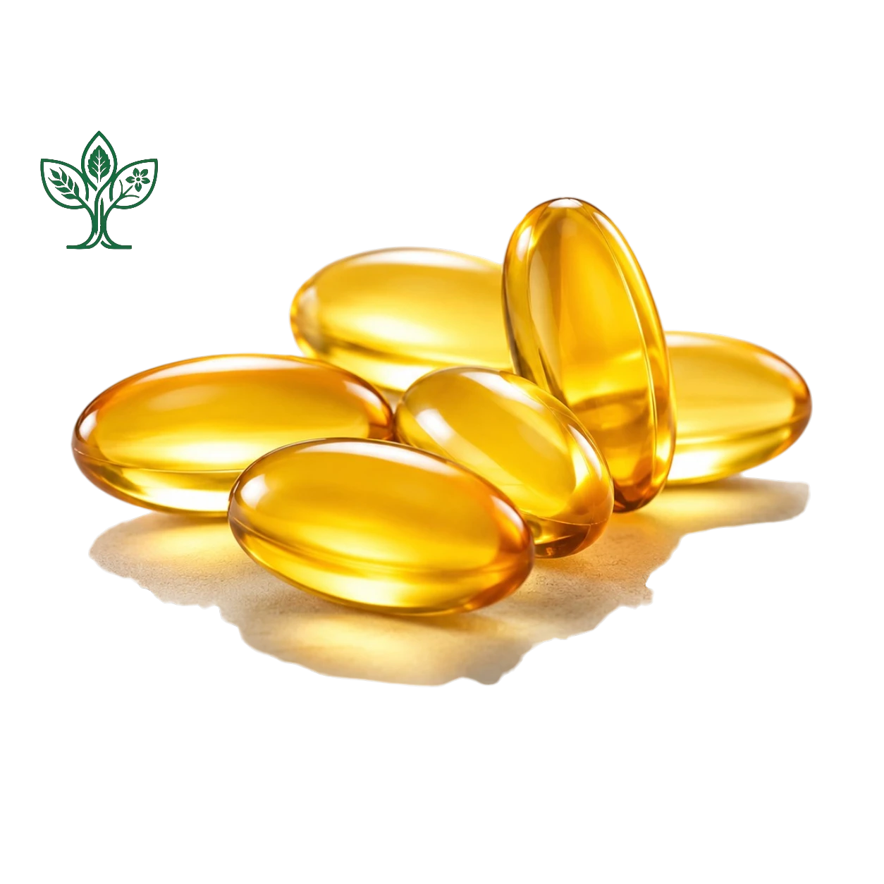 kapsul oil herbal 2